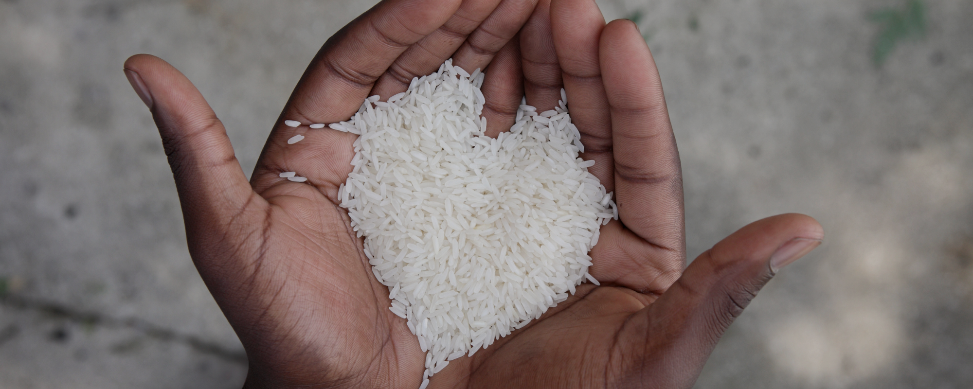 Hands Holding Rice - Are Mission Trips Worth It?
