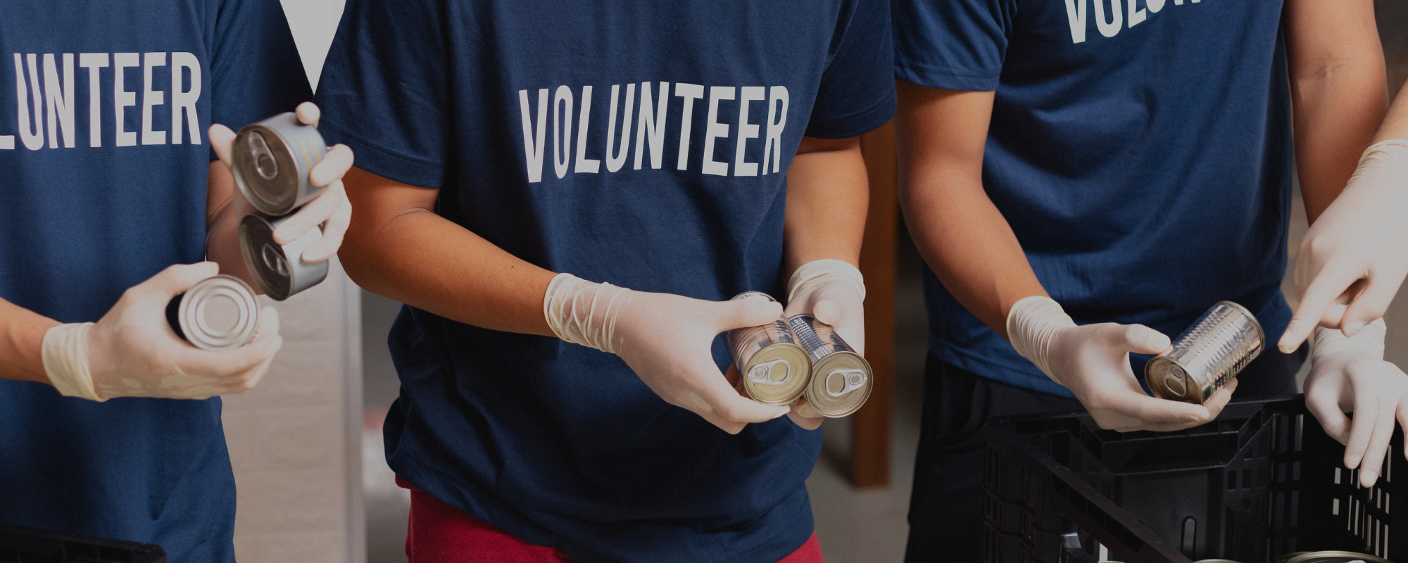 Volunteer Organizations